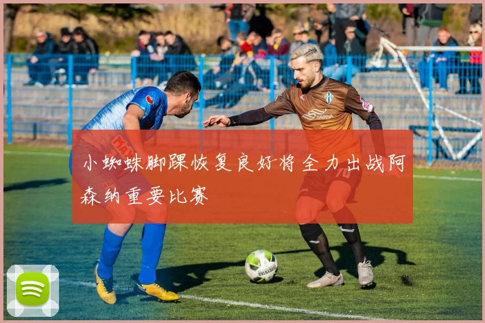 小蜘蛛脚踝恢复良好将全力出战阿森纳重要比赛